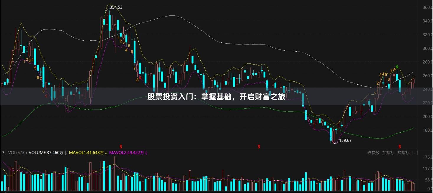 股票投资入门：掌握基础，开启财富之旅
